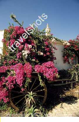 240126_Algarve_Cottage.jpg
